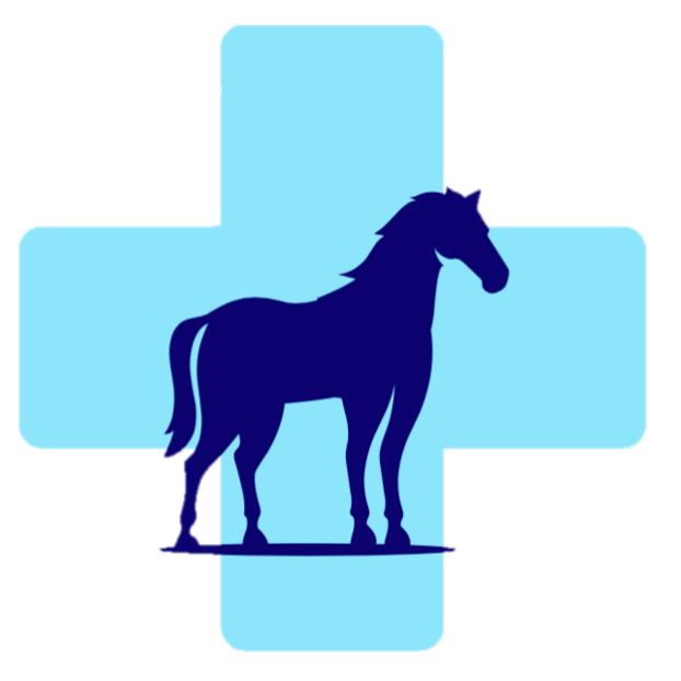 Paardendierenarts Fien Schryvers